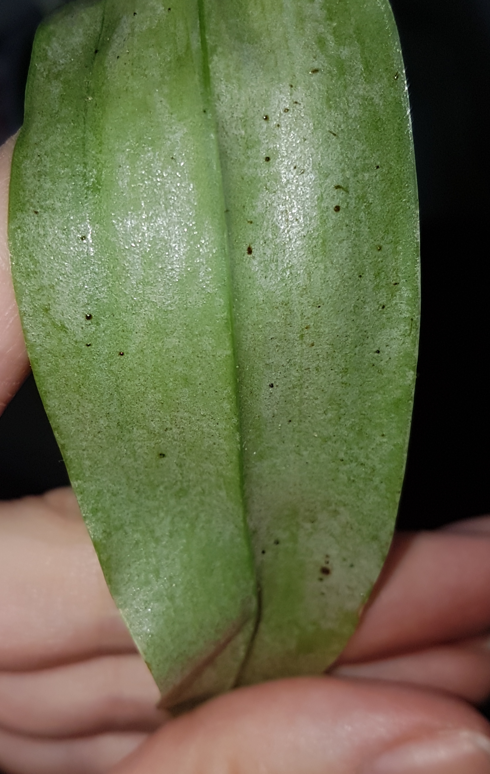20181023_133255.jpg