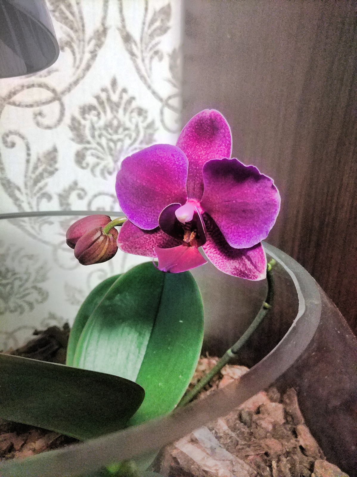 2019-02-04-20-17-45.jpg