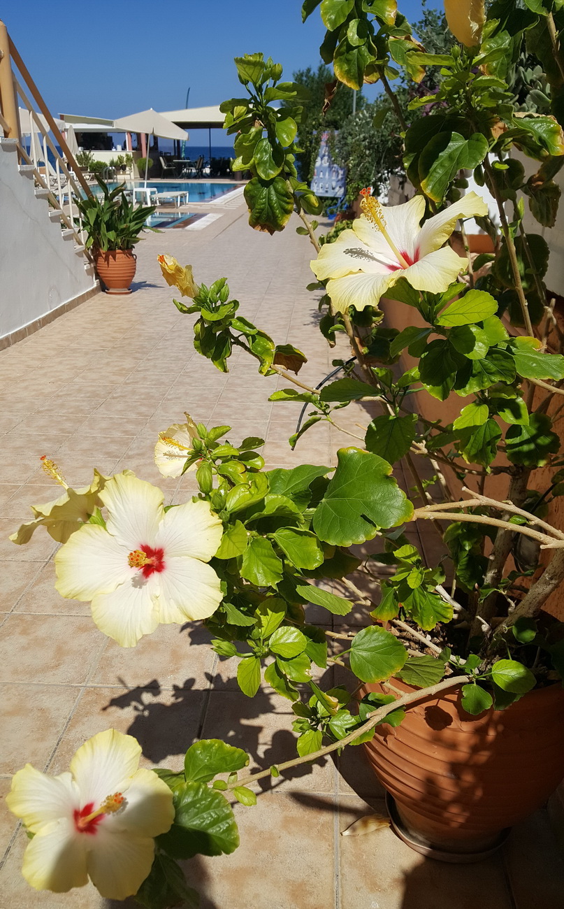 20161005_130913.jpg