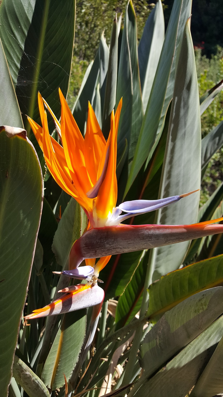20161001_123843.jpg