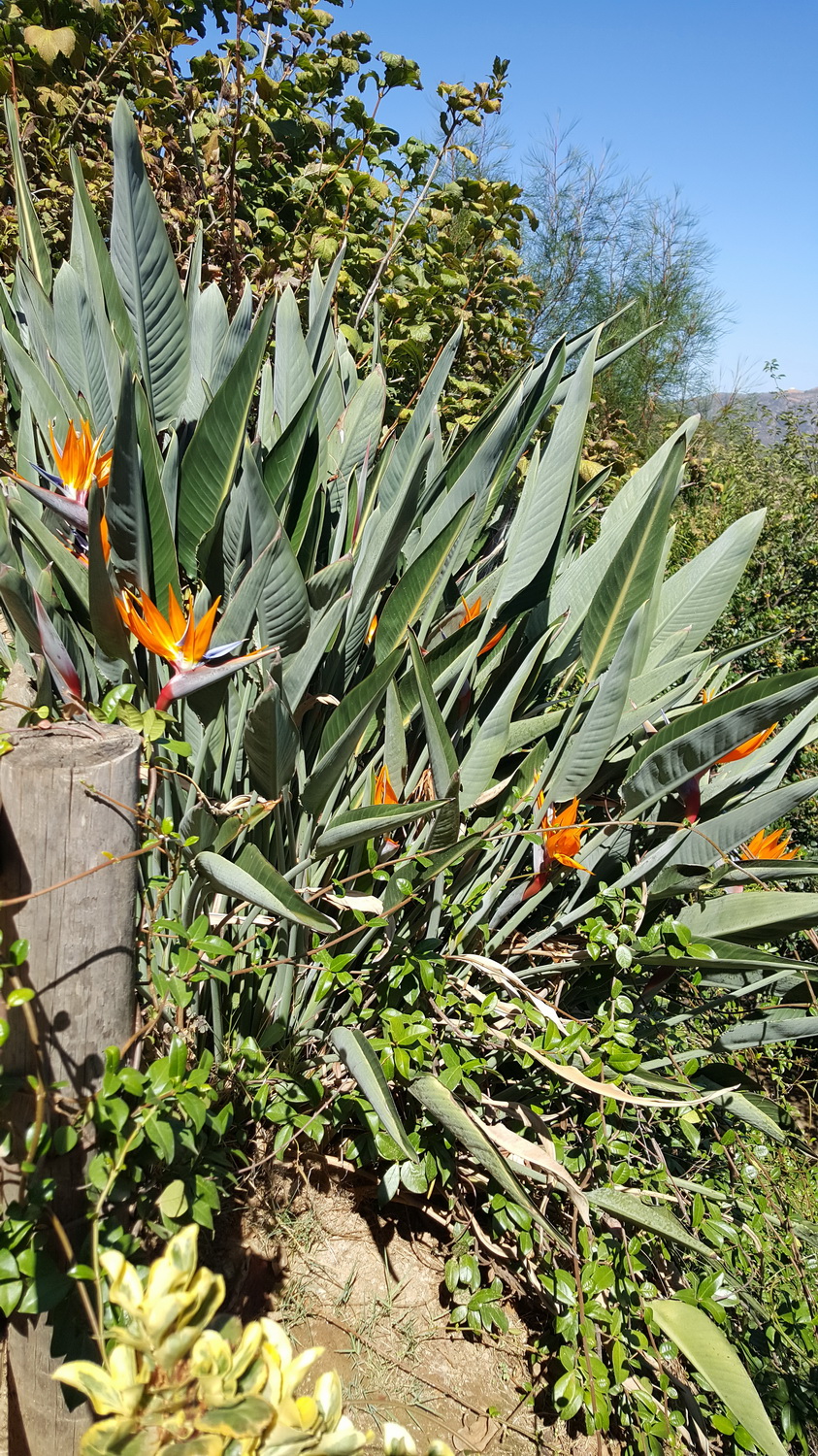 20161001_123856.jpg