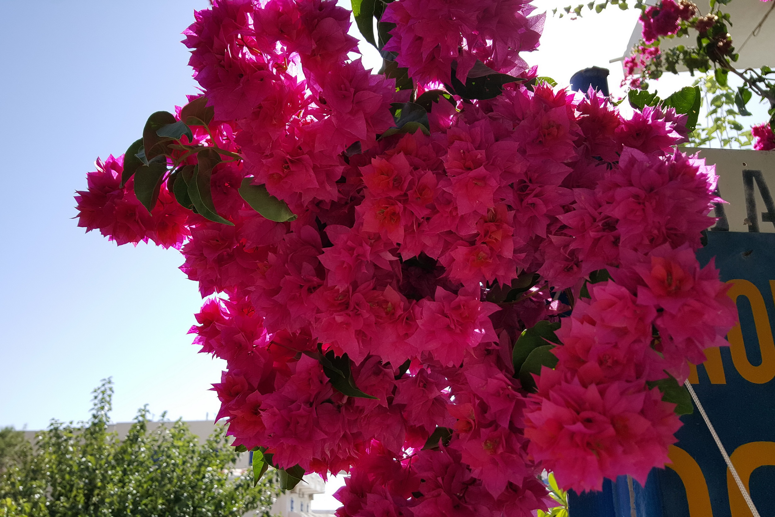 20161008_144102.jpg