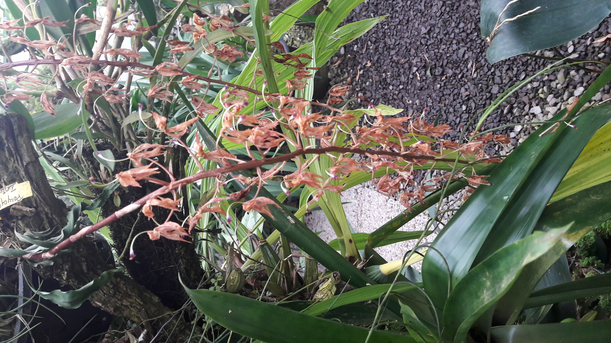 20170109_111045.jpg