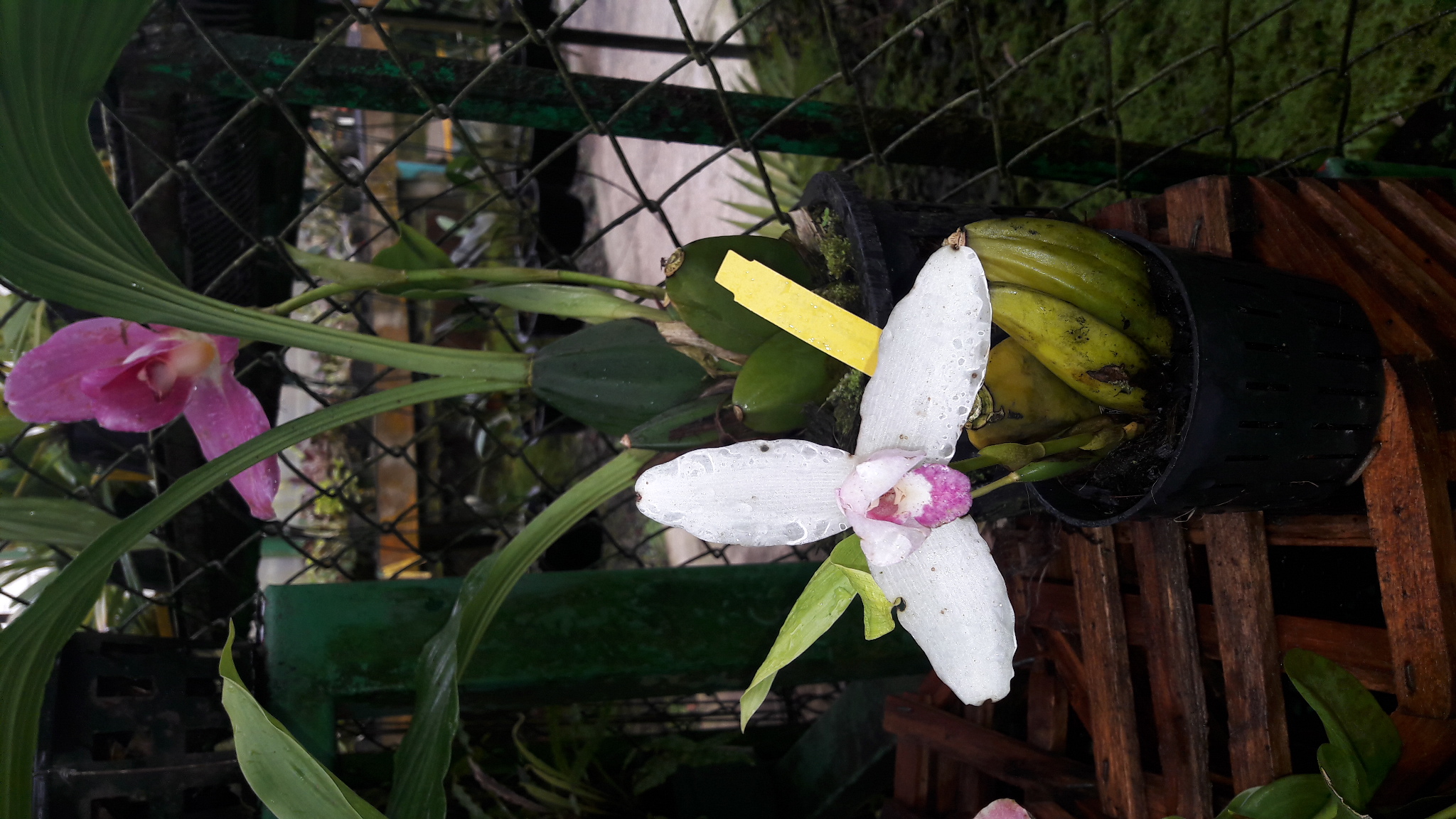 20170109_110353.jpg