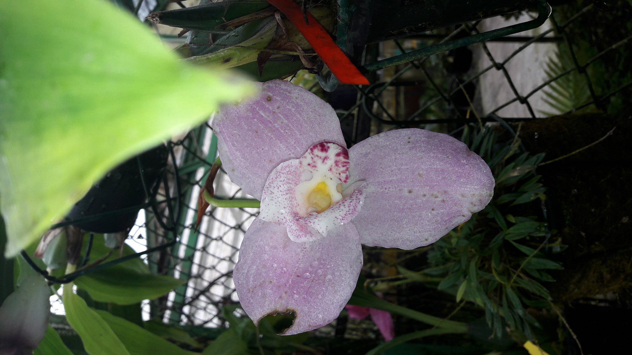 20170109_110332.jpg