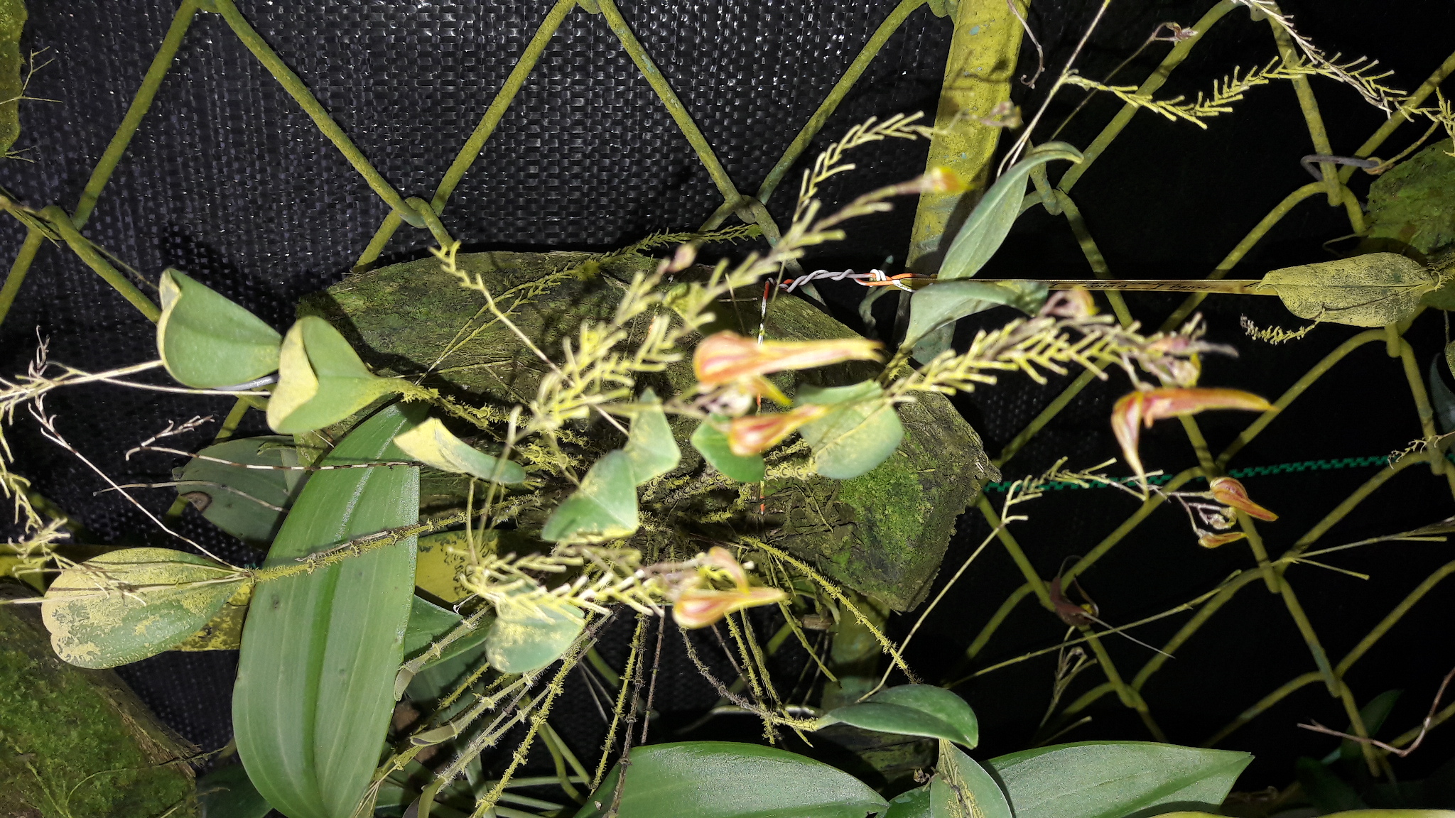 20170109_110654.jpg
