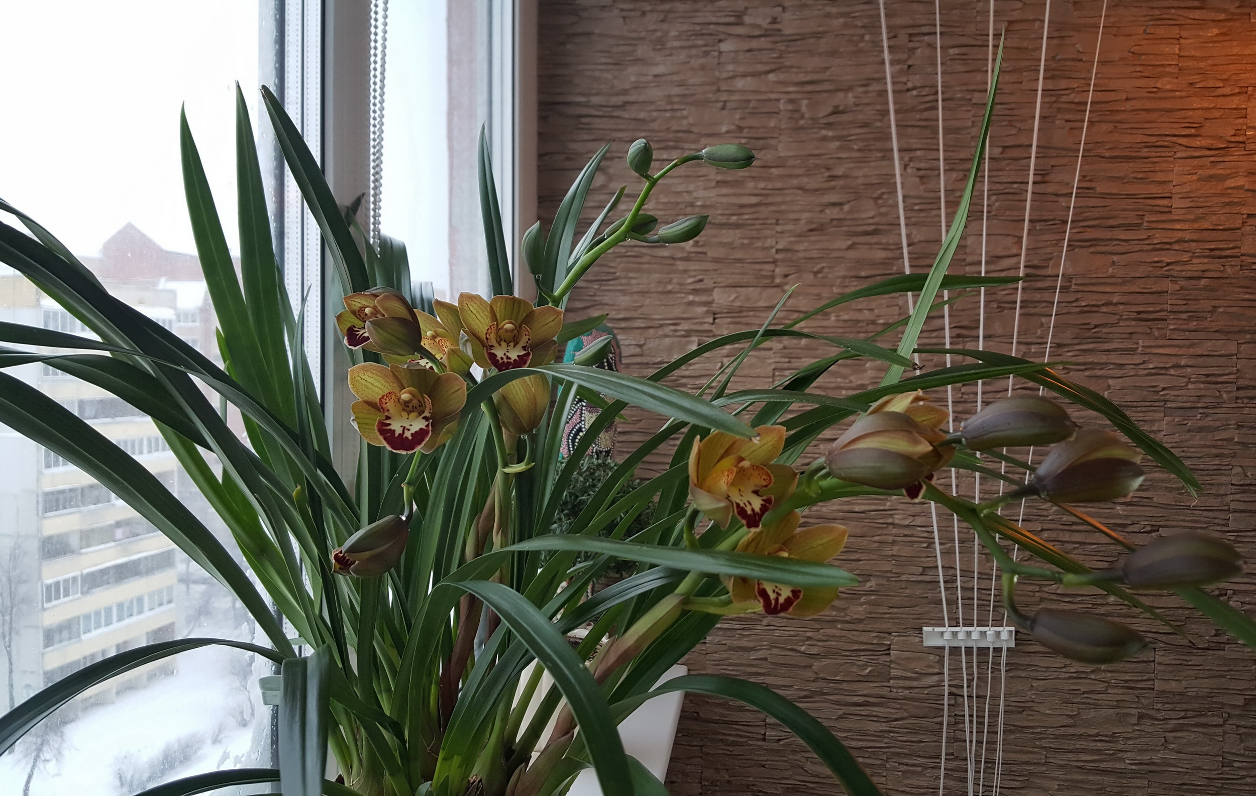 20170114_103246.jpg