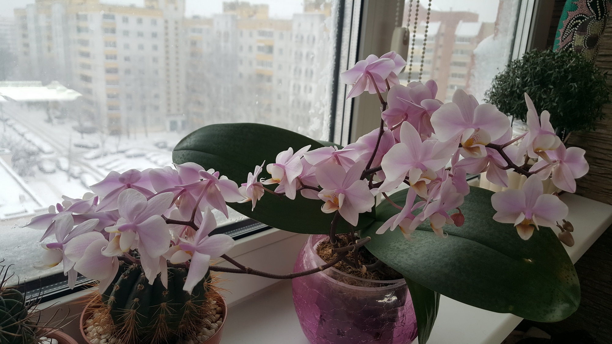 20170114_104108.jpg