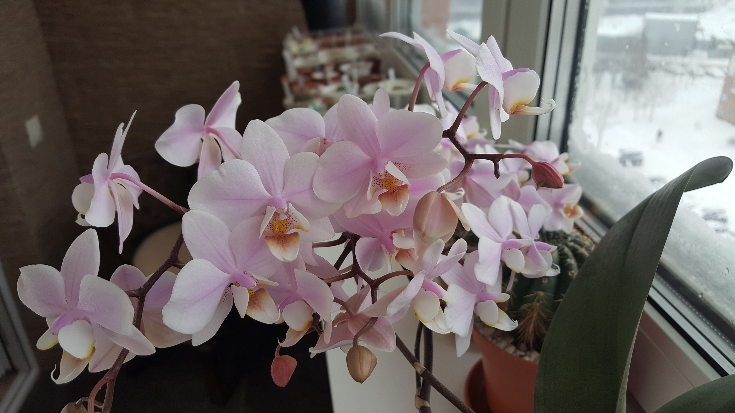 20170114_104250.jpg