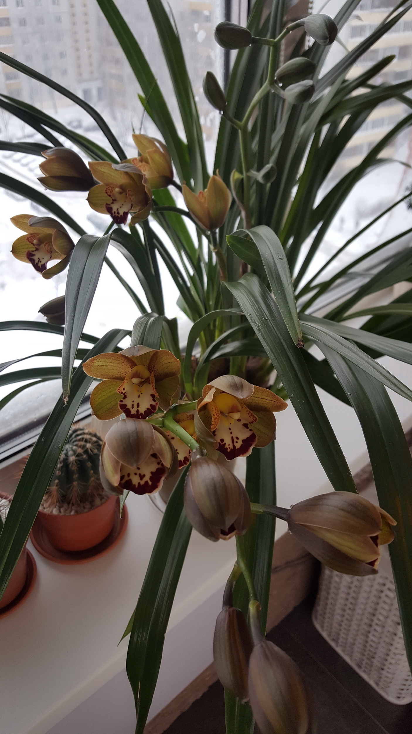 20170114_103357.jpg