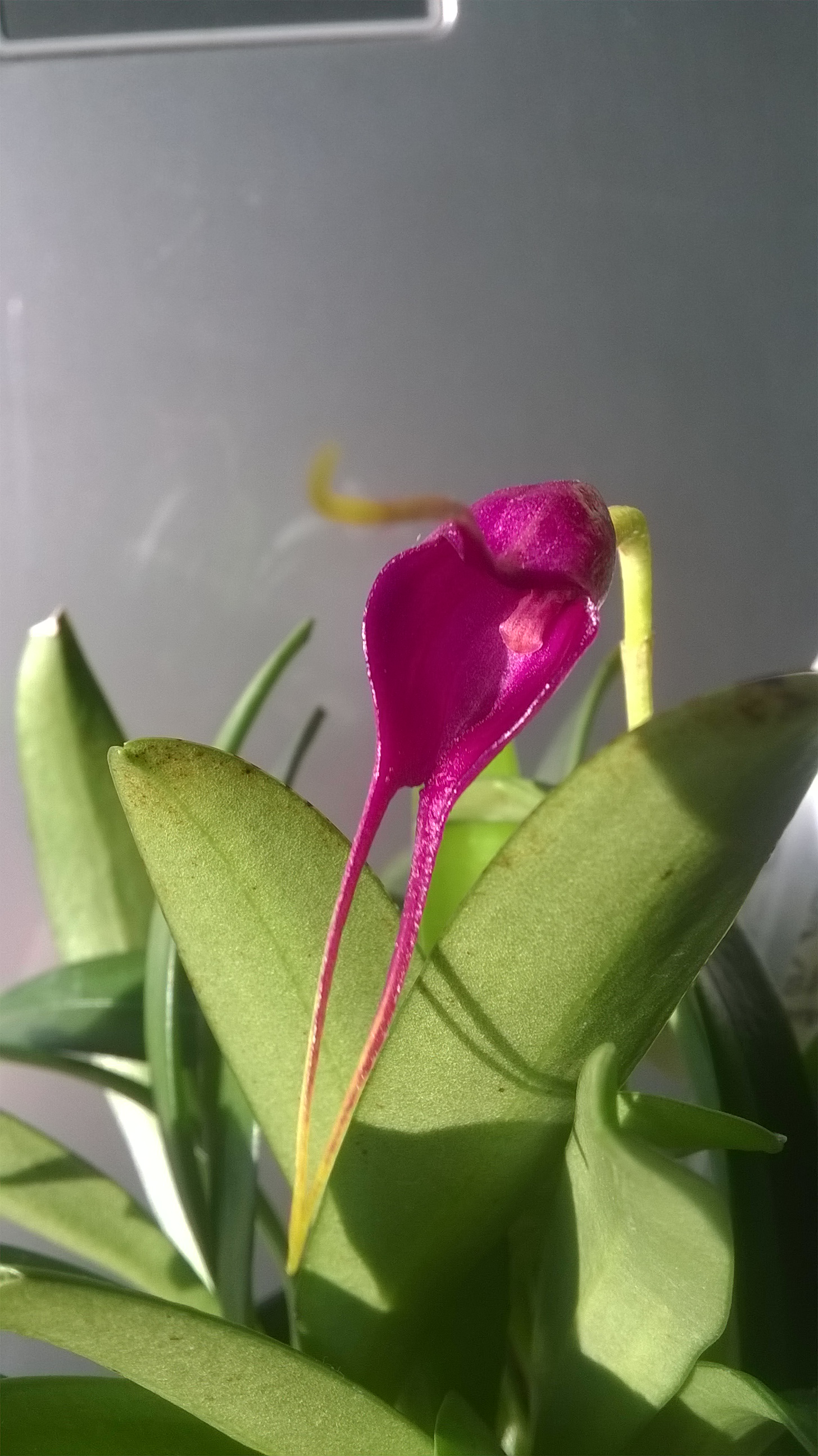 WP_20180208_10_31_16_Pro.jpg