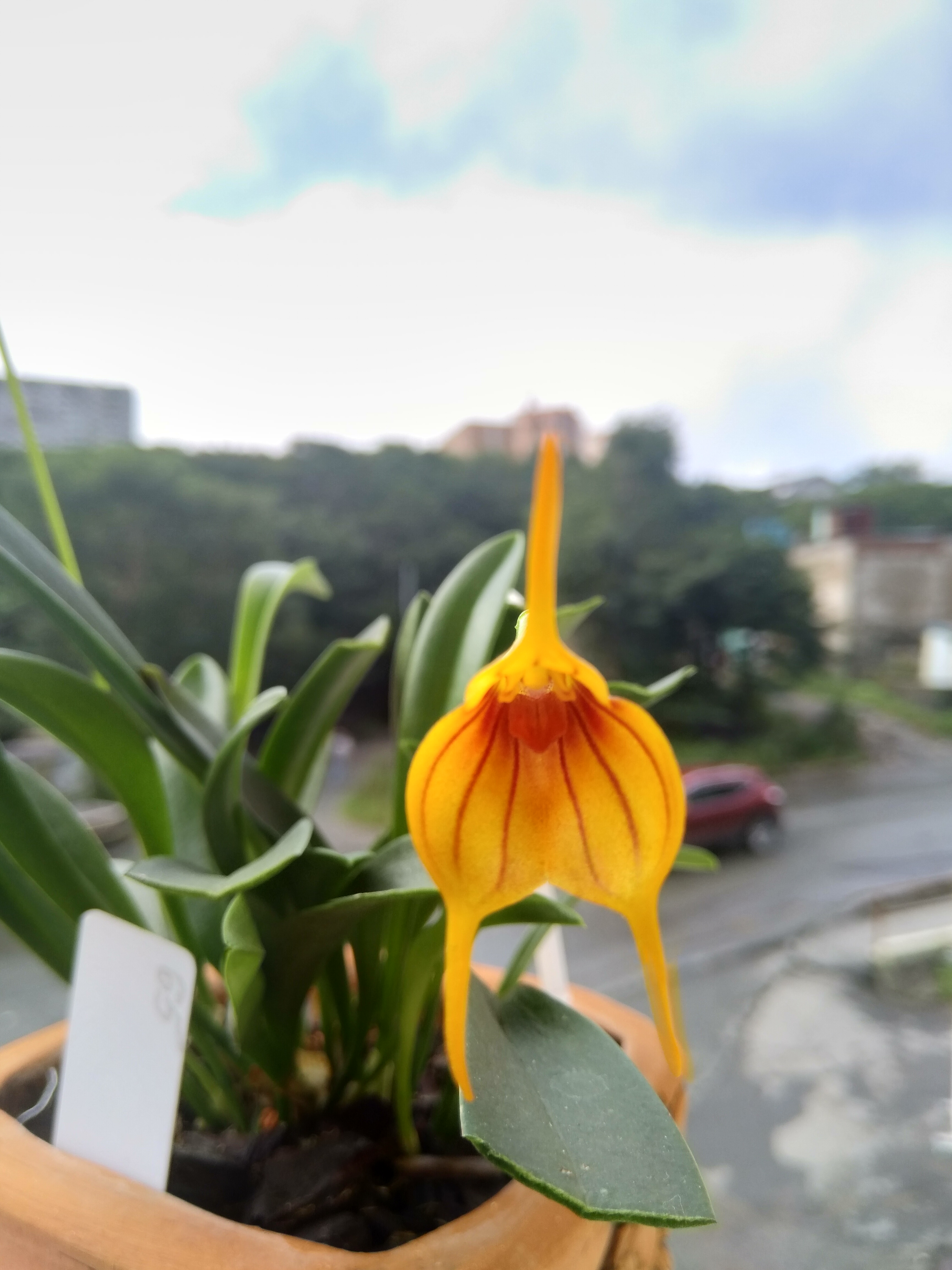 IMG_20190830_121750.jpg