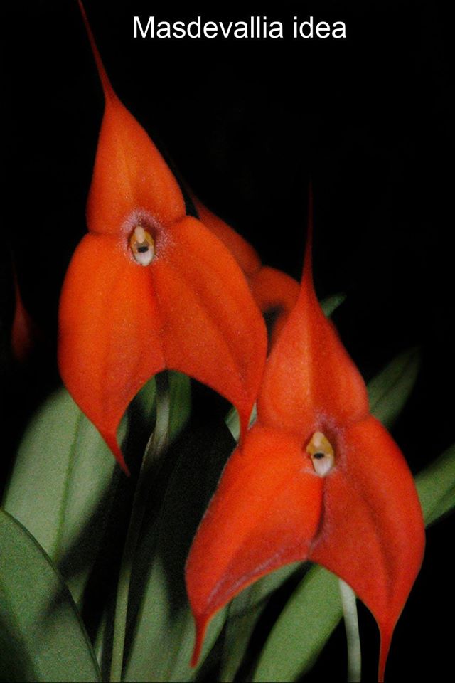 66.jpg