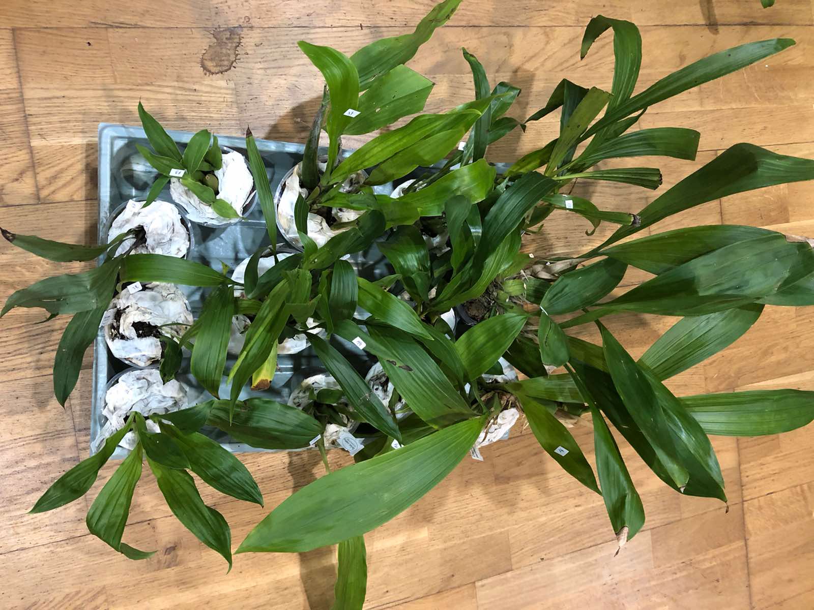 4в.jpg