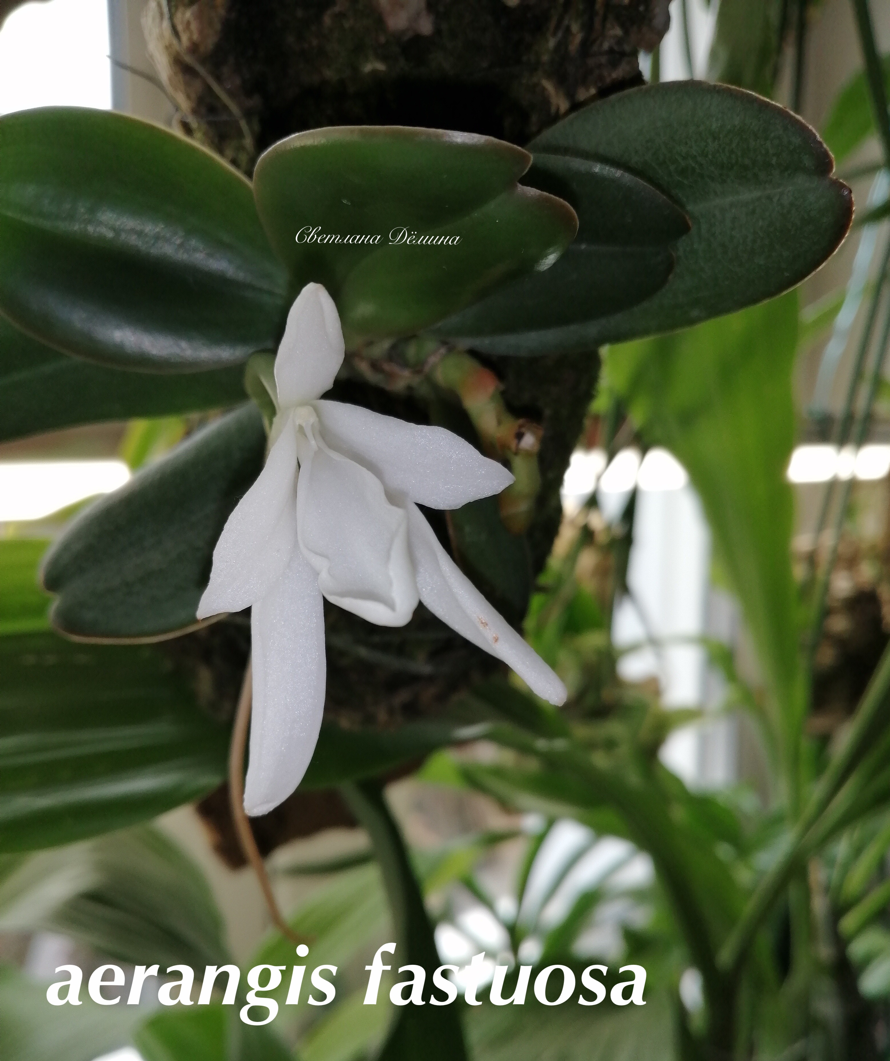 08C913BF-937A-4BDC-8B2D-49B34D30BA37.jpeg