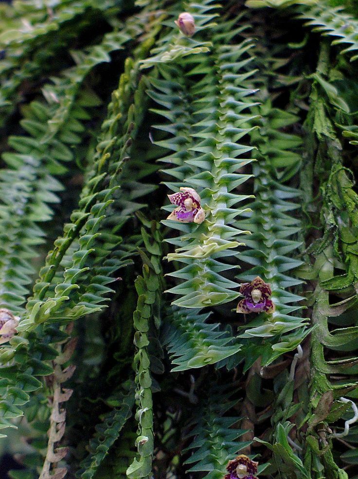 8в.jpg