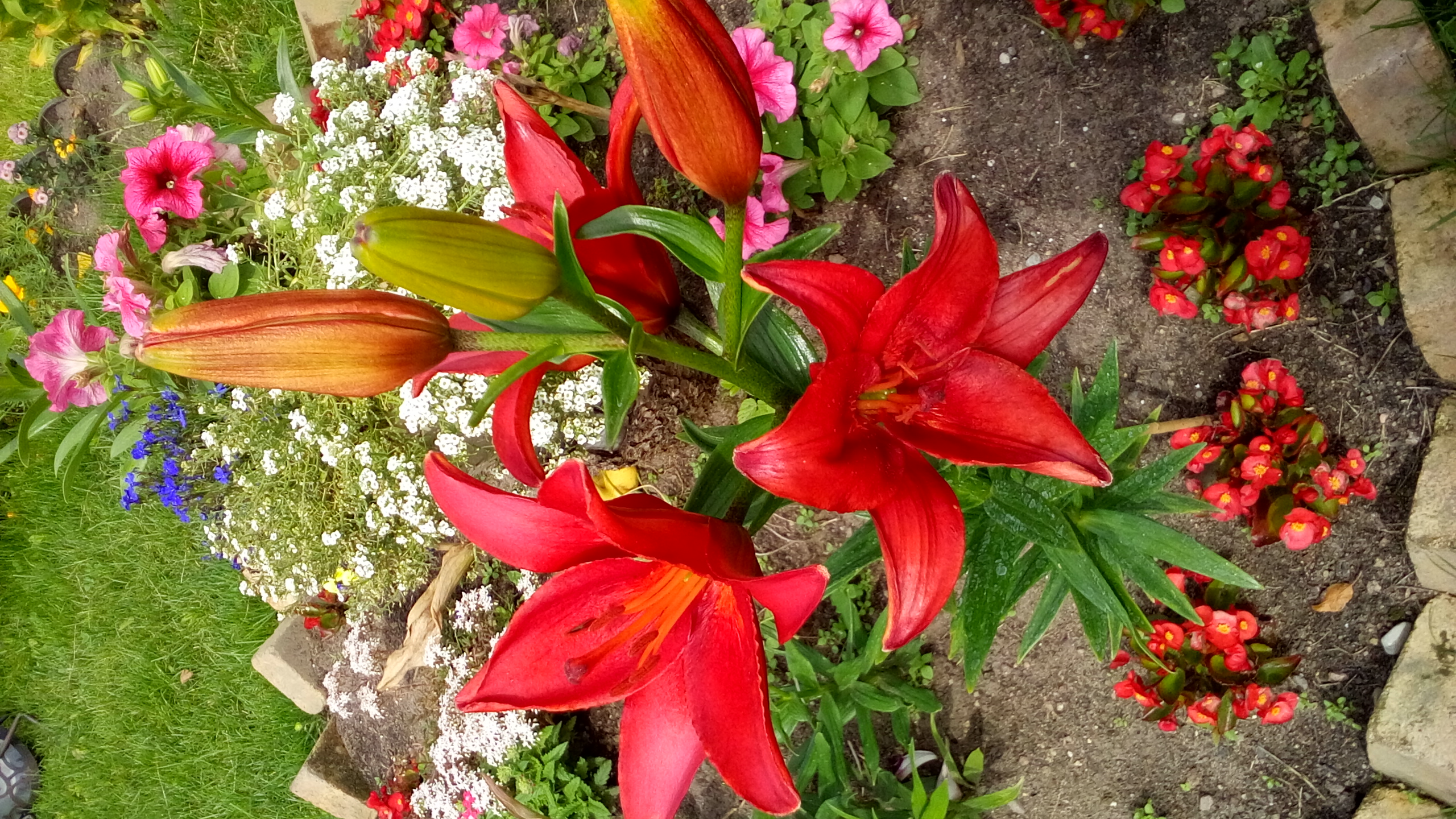 20160629_113222.jpg