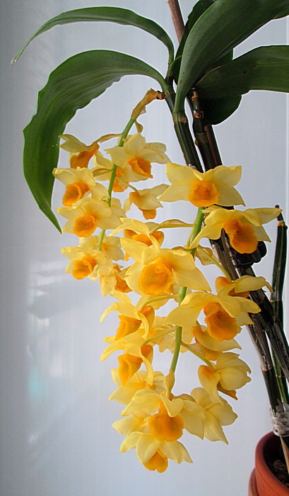 IMG_5767.JPG