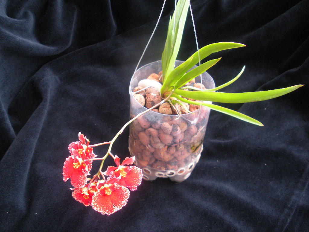 DSCN8355.jpg