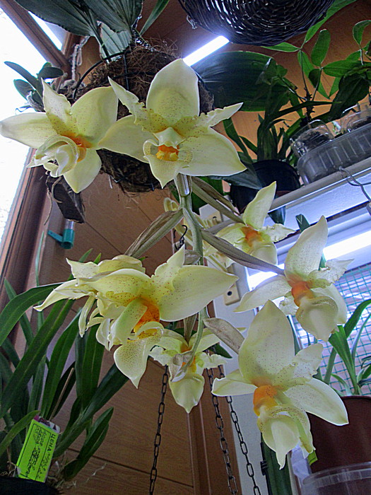 IMG_6267.JPG