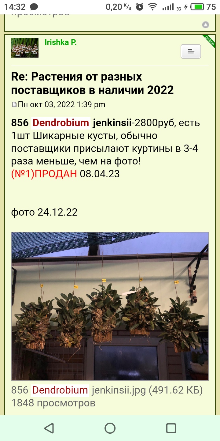 S40509-143258.jpg