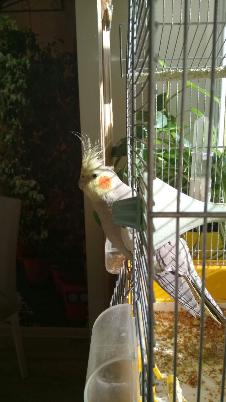 IMG-20170503-WA0018.jpg