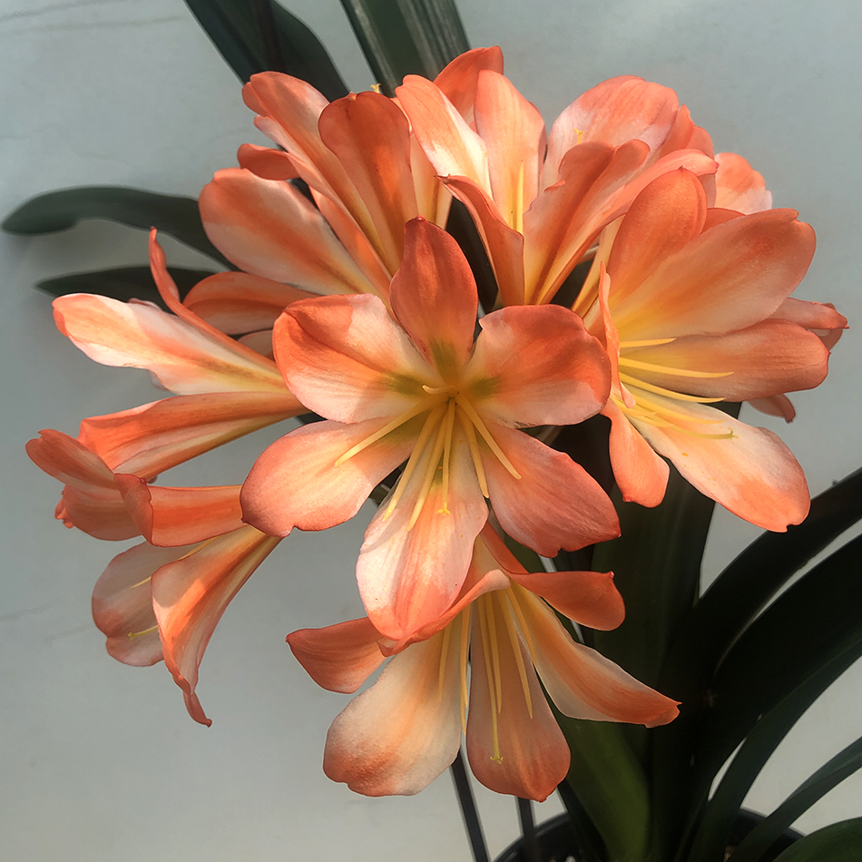 45 U10 05.24.jpg