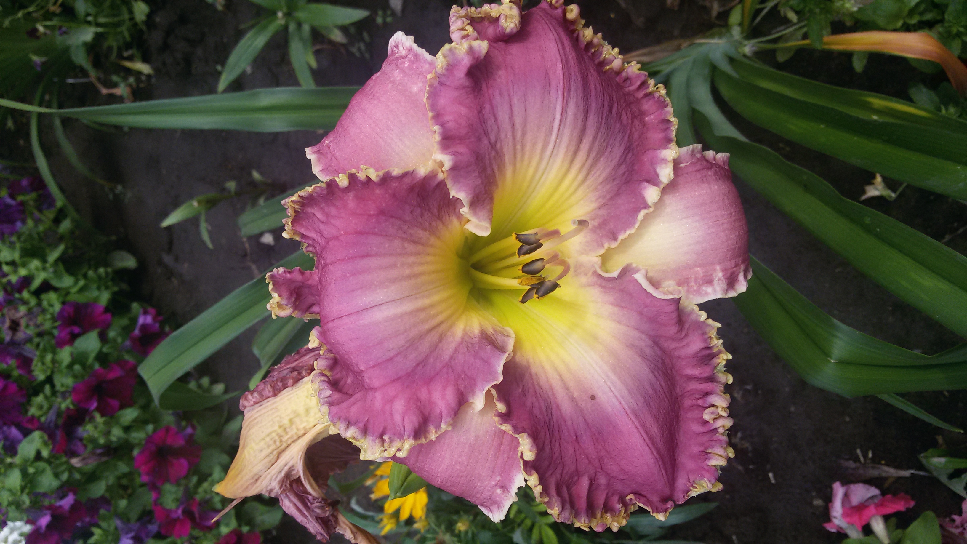 20160723_114934.jpg