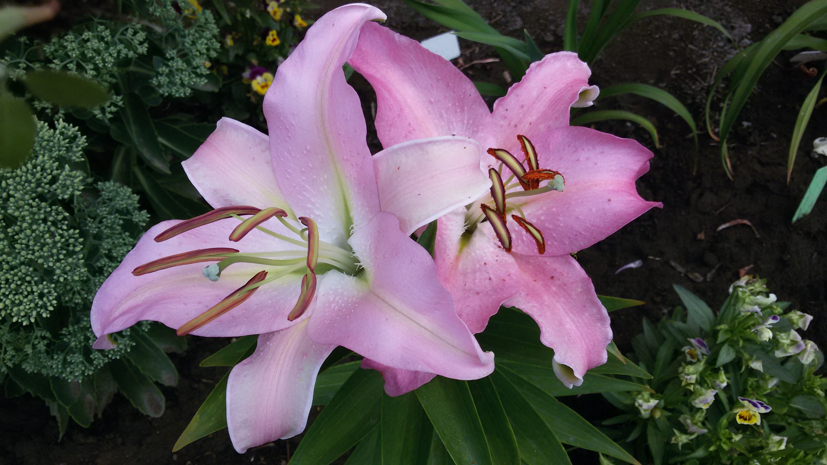 20160725_110040.jpg