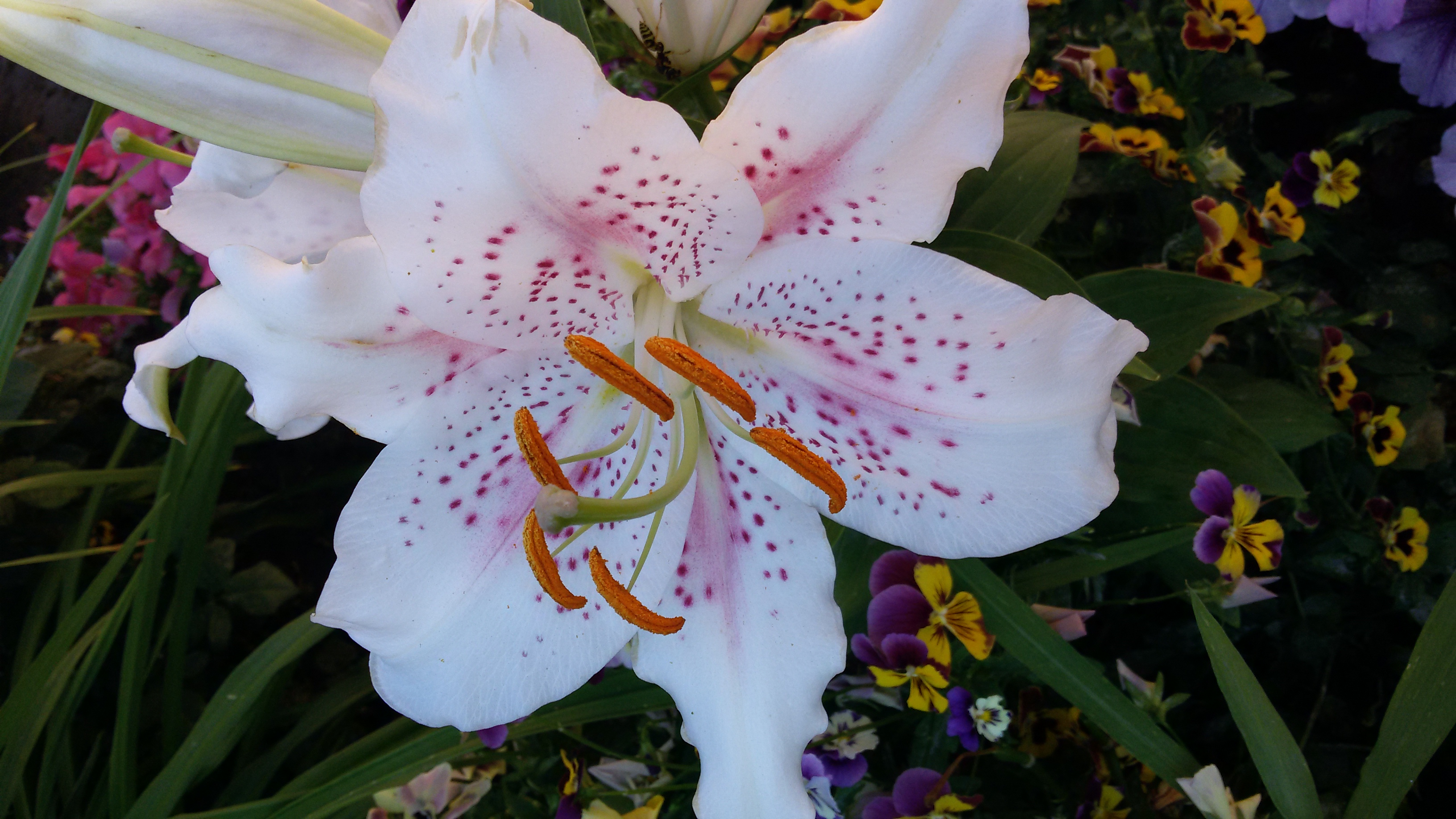 20160716_084535.jpg