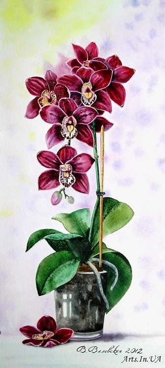 image-19.JPG