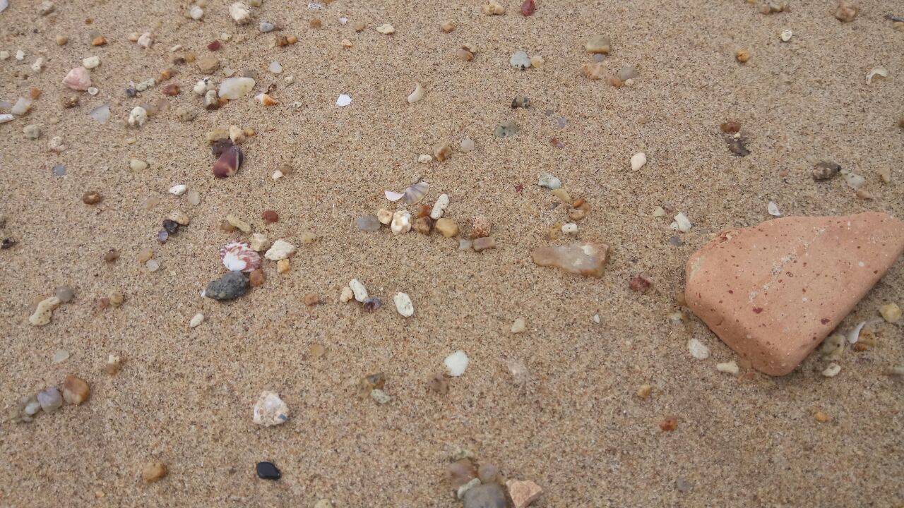 IMG-20170928-WA0009.jpg