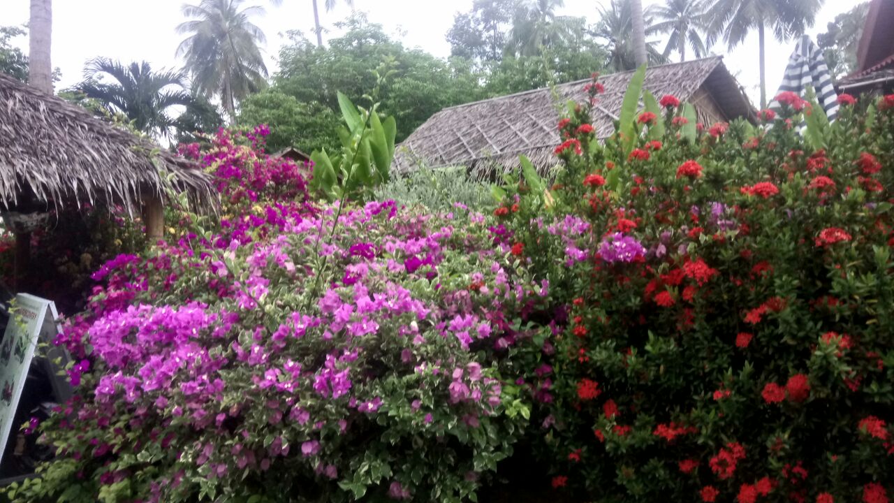 IMG-20170928-WA0016.jpg