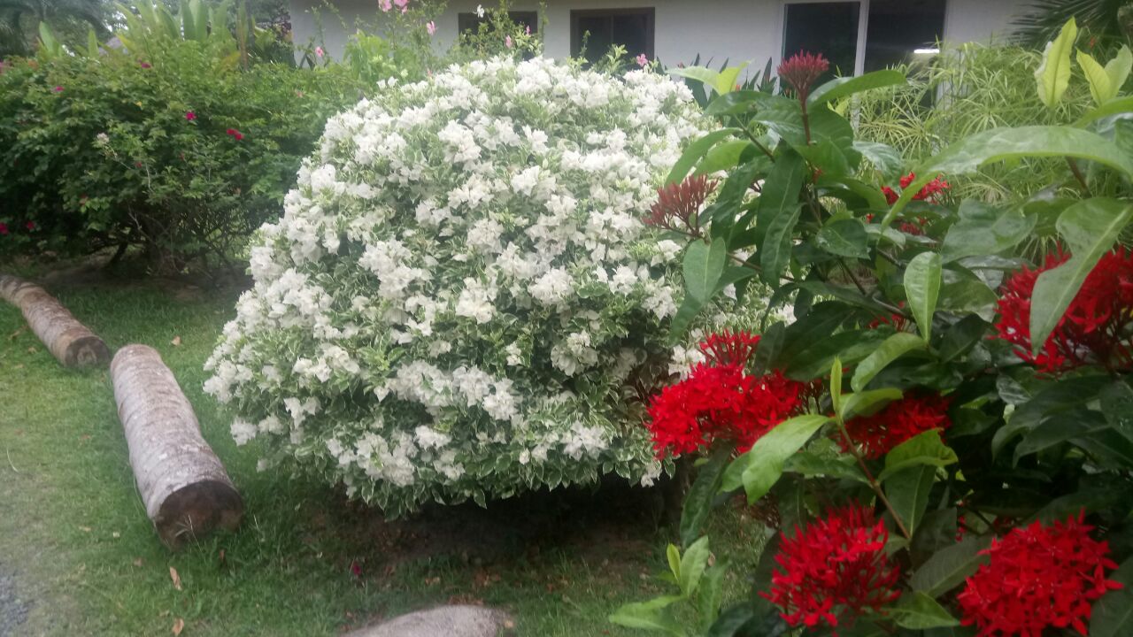 IMG-20170928-WA0017.jpg