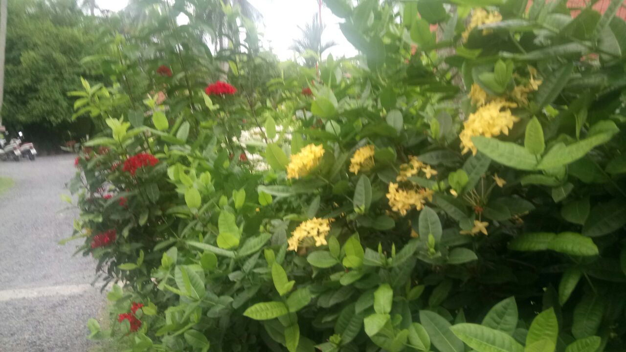 IMG-20170928-WA0018.jpg