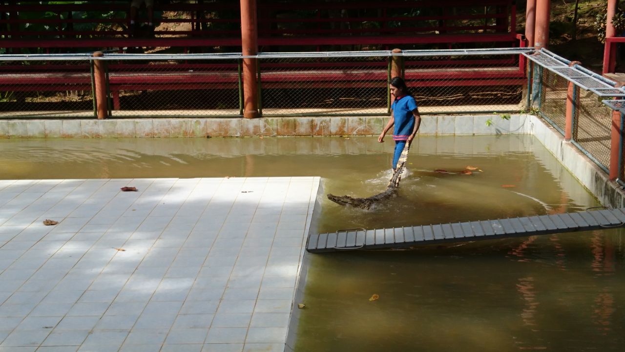 IMG-20171001-WA0002.jpg