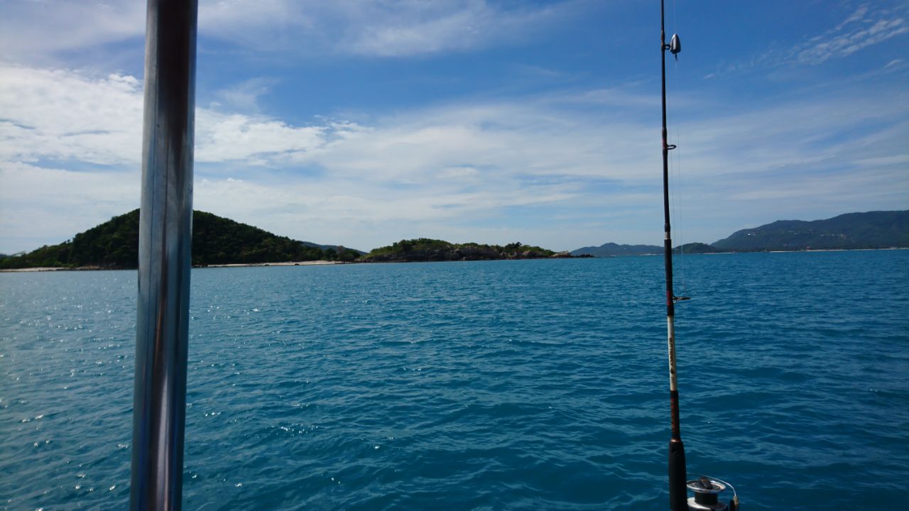 IMG-20171001-WA0029.jpg