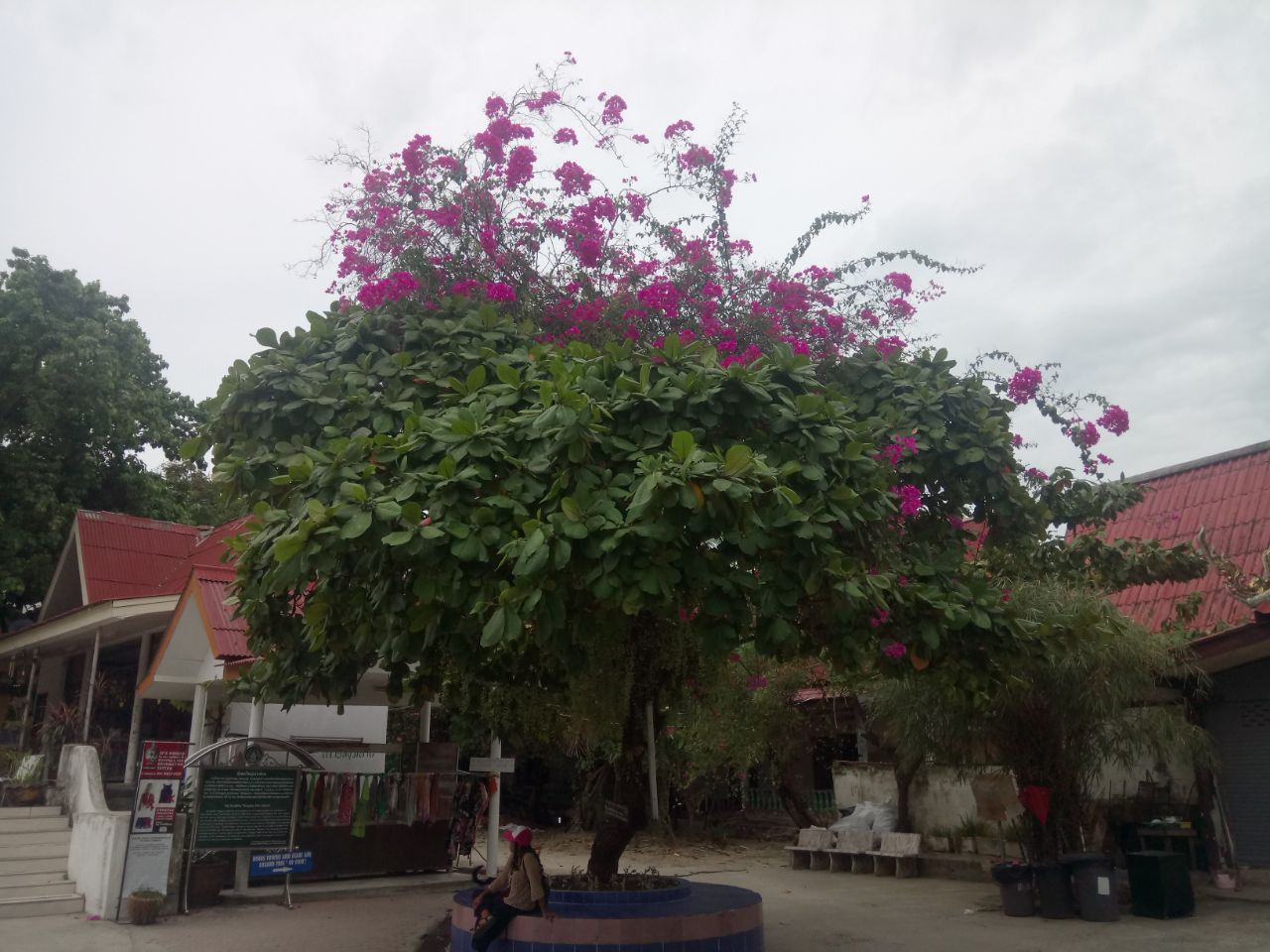 IMG-20171017-WA0012.jpg