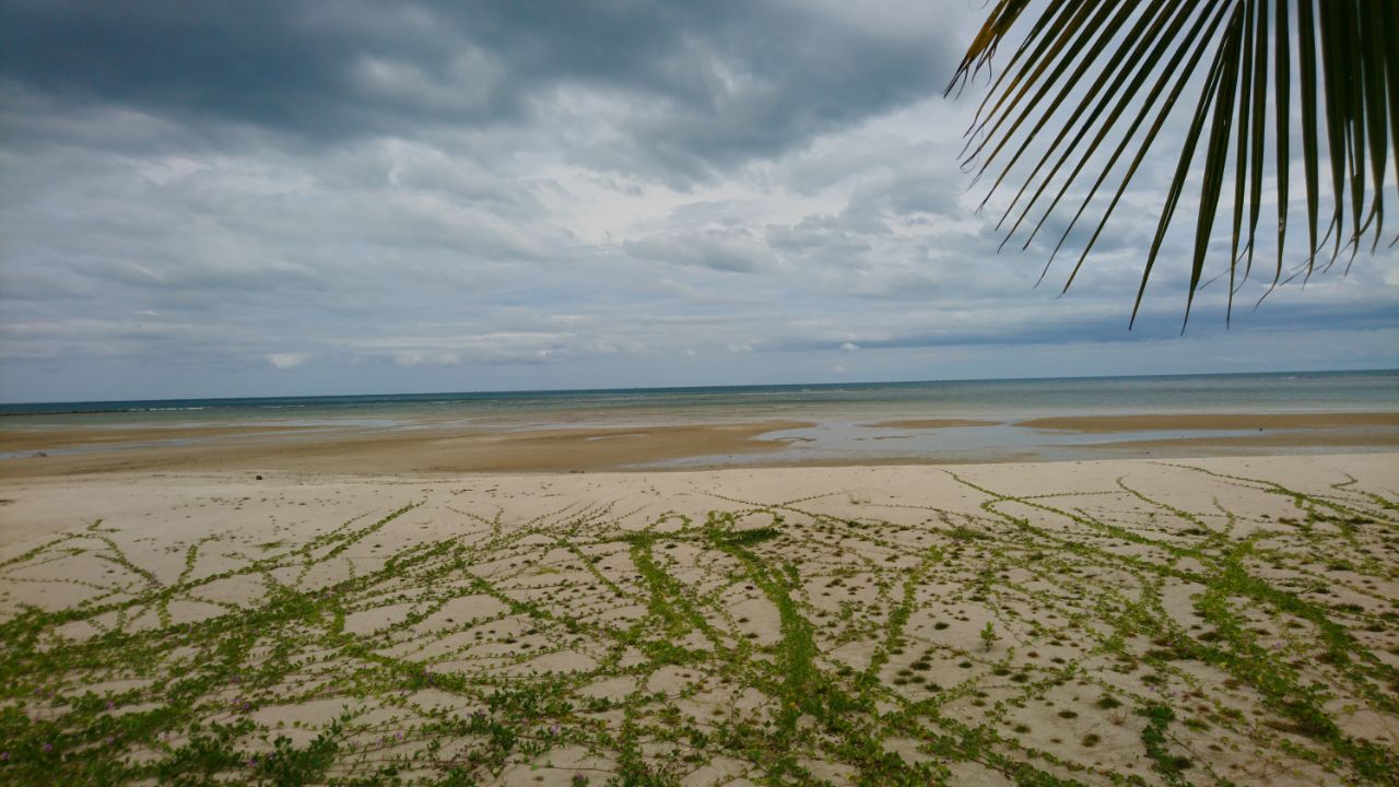 IMG-20171017-WA0013.jpg