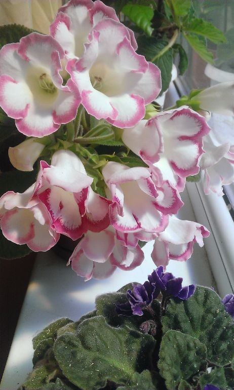 image (37).jpg