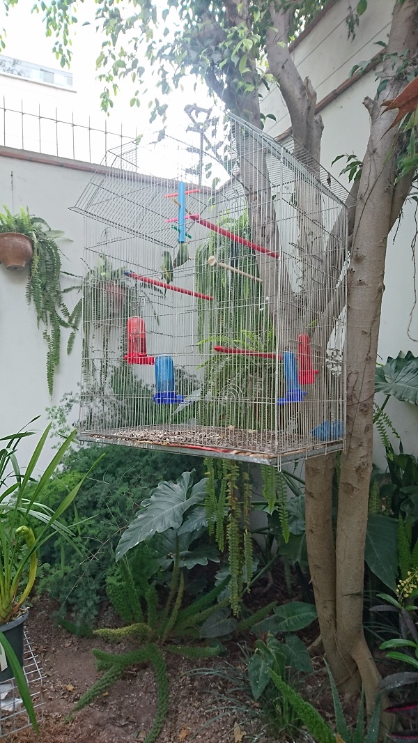 DSC_3643.JPG
