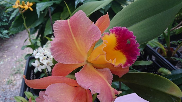 DSC_3660.JPG