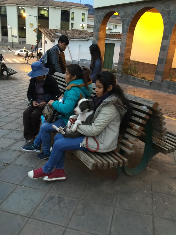 IMG_9471.JPG
