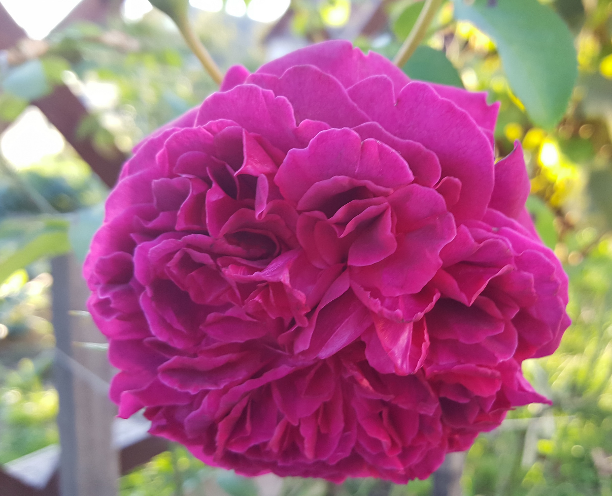 20160827_190943.jpg