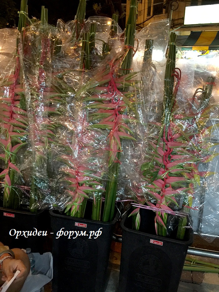 рынок цветов (9).JPG