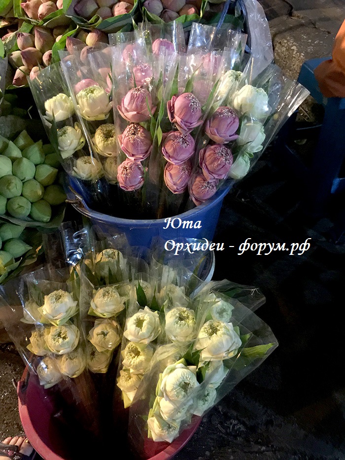 рынок цветов (53).JPG